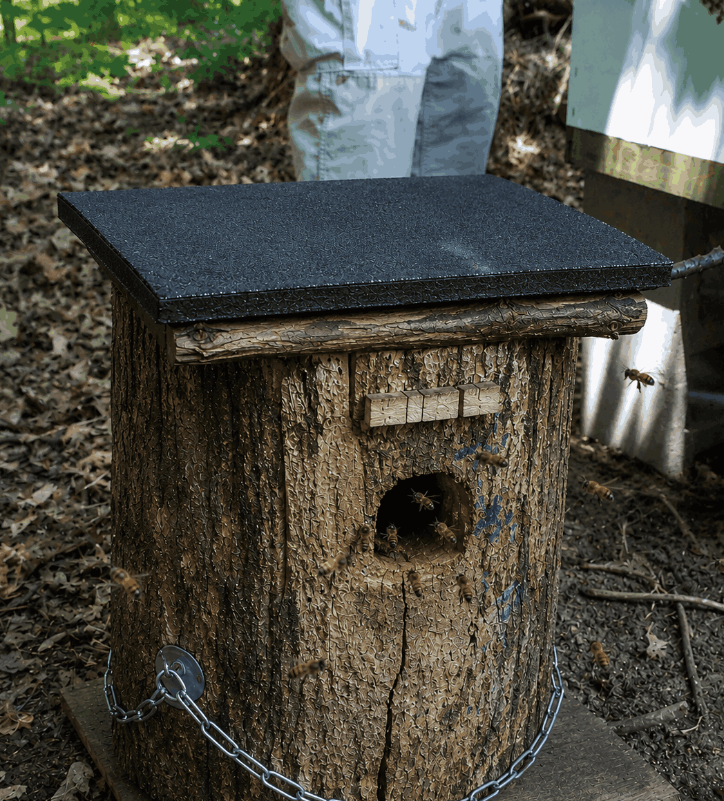 The original handmade squirrel house that became the first honeybee hive